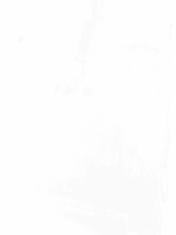 Tapete Carpete Carpe Assoalho FORD FOCUS 2001-2009