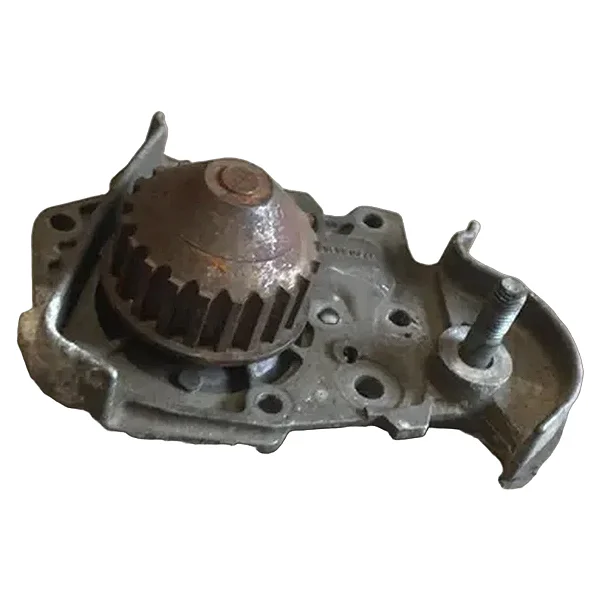 Bomba De Água Renault Scenic Megane Clio 1.6 2004