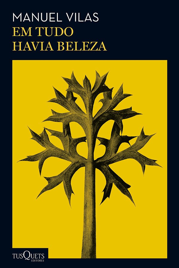 Em Tudo Havia Beleza