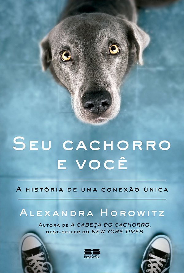 Seu Cachorro E Você A História De Uma Conexão Única