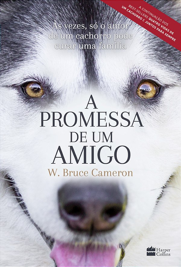 A Promessa De Um Amigo..-