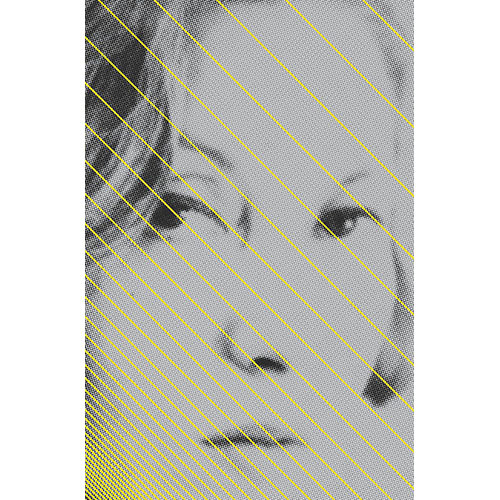 Clarice Lispector - Todas As Crônicas