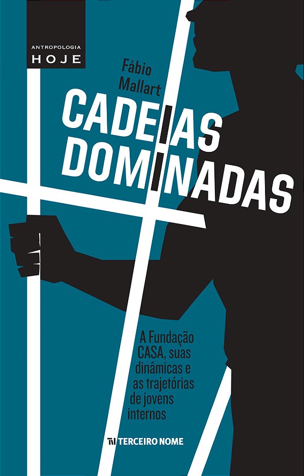 Cadeias Dominadas A Fundação Casa, Suas Dinâmicas E As Trajetórias De Jovens Internos