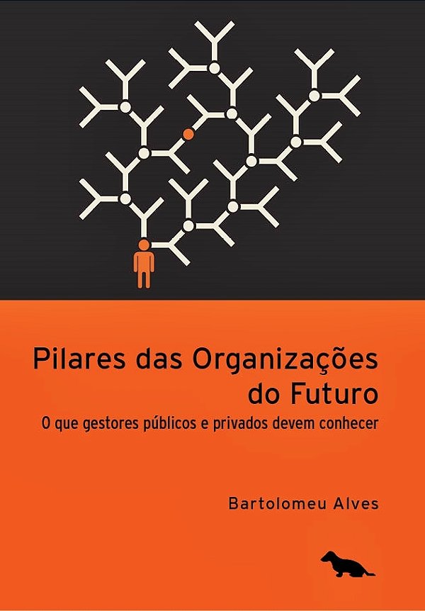 Pilares Das Organizações Do Futuro O Que Os Gestores Públicos E Privados Devem Conhecer..-