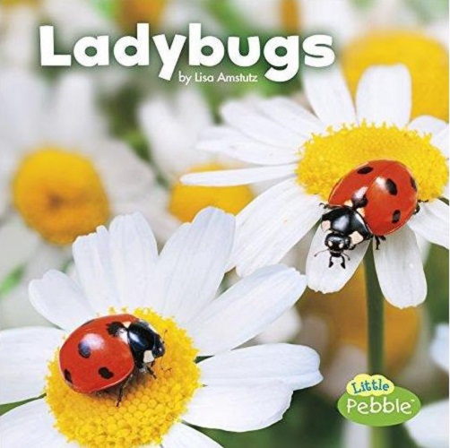 Ladybugs-..