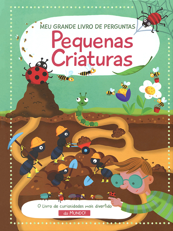 Pequenas Criaturas: Meu Grande Livro De Perguntas