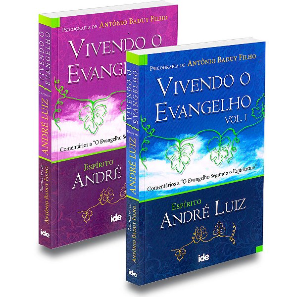 Kit Vivendo O Evangelho - Volumes 1 E 2