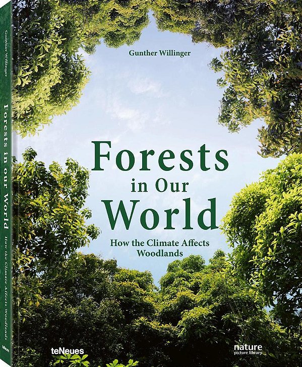 Forests In Our World How The Climate Affects Woodlands