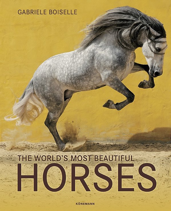 The World's Most Beatiful Horses