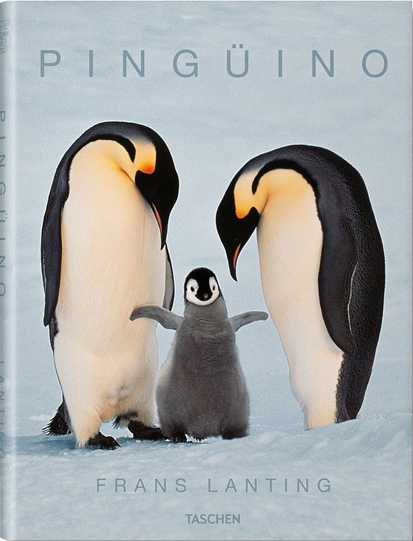 Pingüino