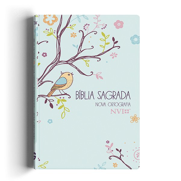 Bíblia Nvi Gigante Novo Testamento - 2 Cores Capa Especial - Um Tempo Especial Com Deus