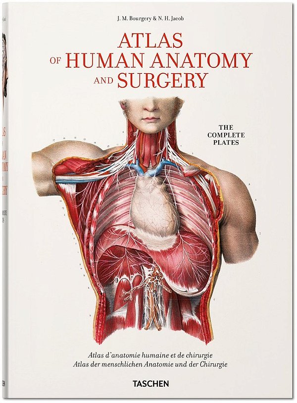 Bourgery. Atlas Of Human Anatomy And Surgery