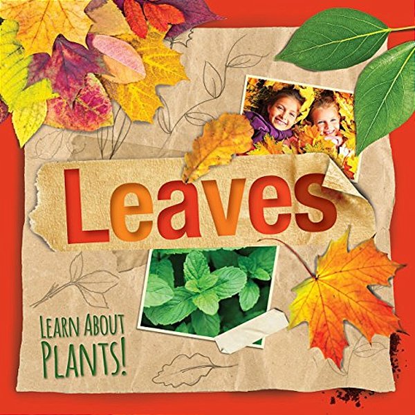 Leaves-..