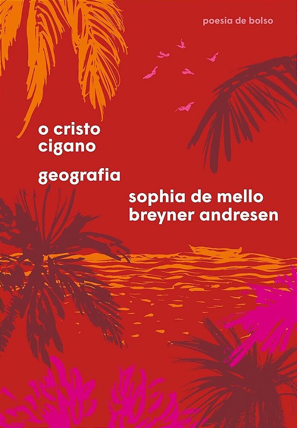 O Cristo Cigano E Geografia..-