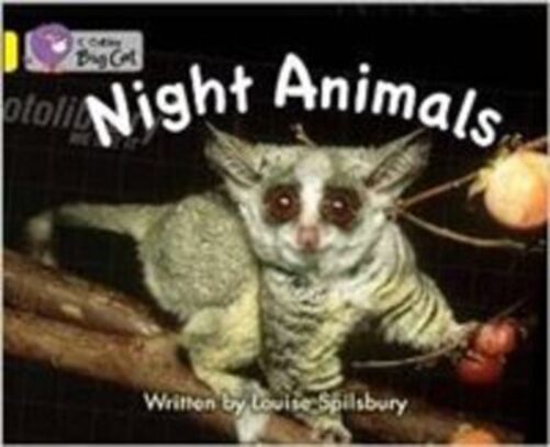 Night Animals-..