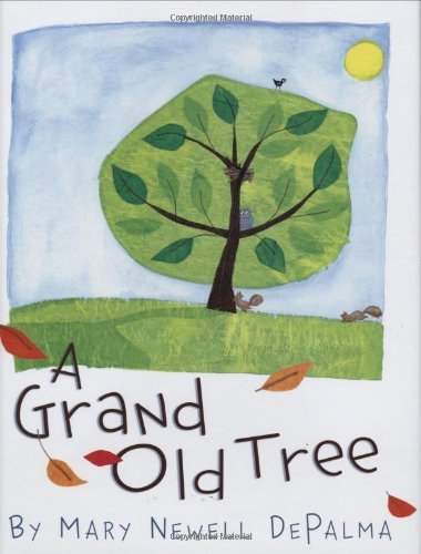 A Grand Old Tree-..
