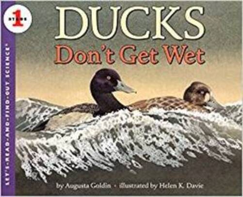 Ducks Don't Get Wet-..