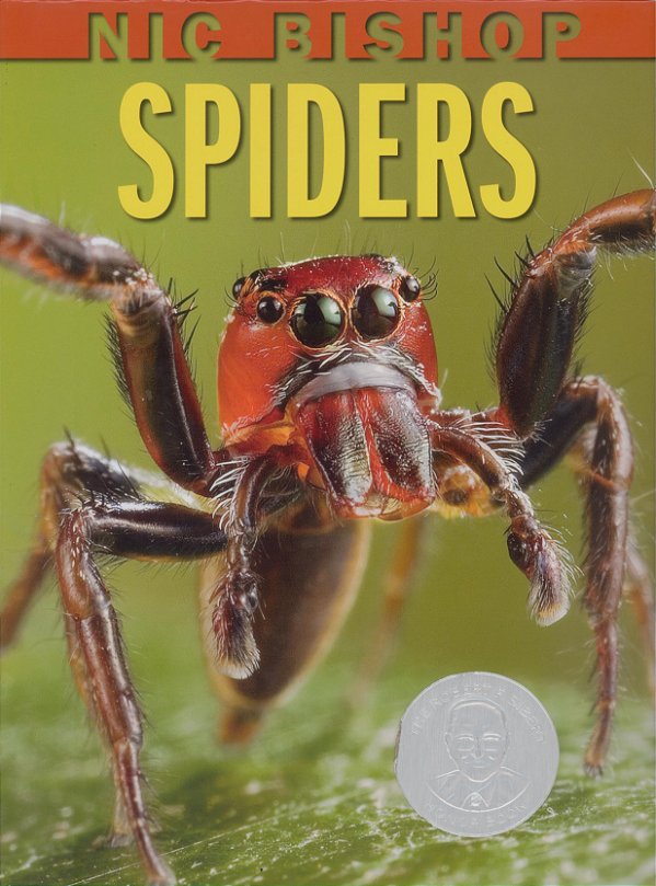 Nic Bishop Spiders-..