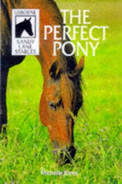 The Perfect Pony-..