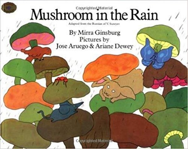 Mushroom In The Rain-..
