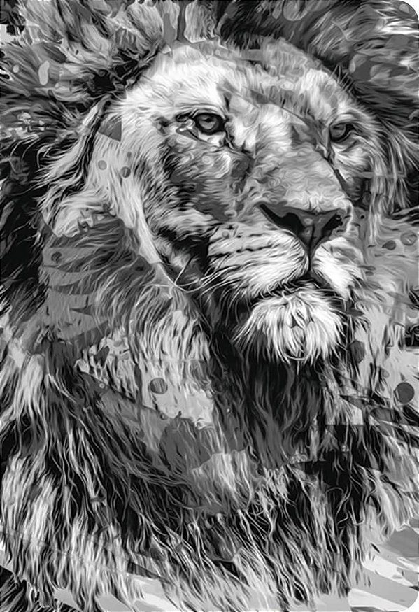 Bíblia Ntlh Youversion The Lion P&b Nova Tradução Na Linguagem De Hoje..-