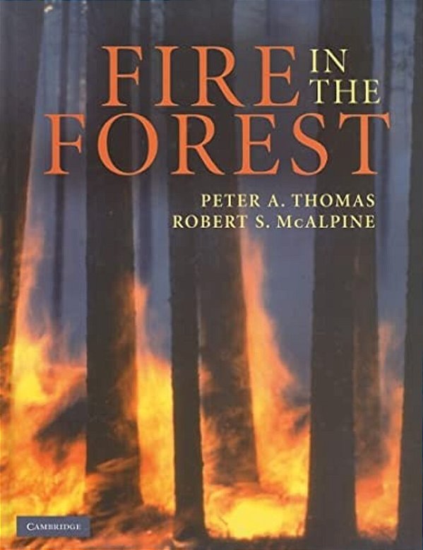 Fire In The Forest-..