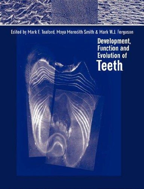 Development, Function And Evolution Of Teeth-..
