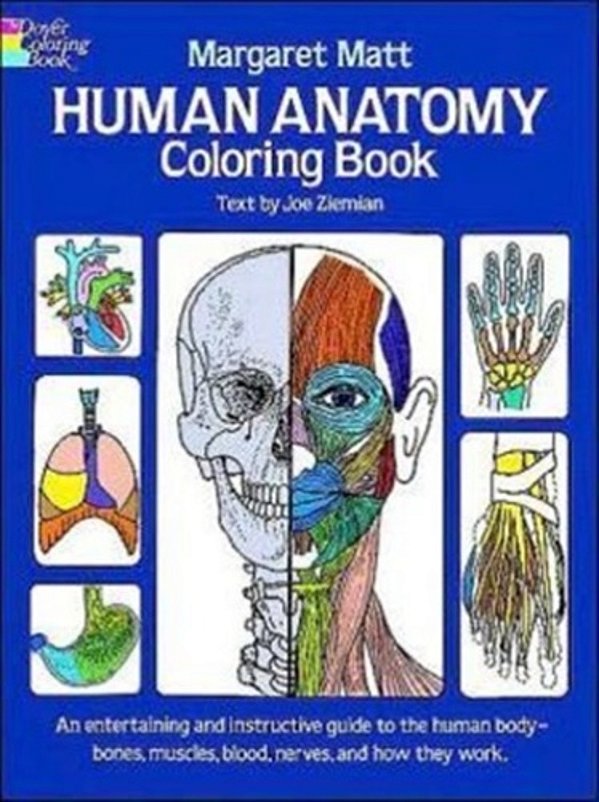 Human Anatomy Coloring Book..-
