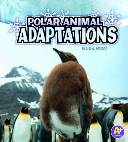 Polar Animal - Adaptations..-