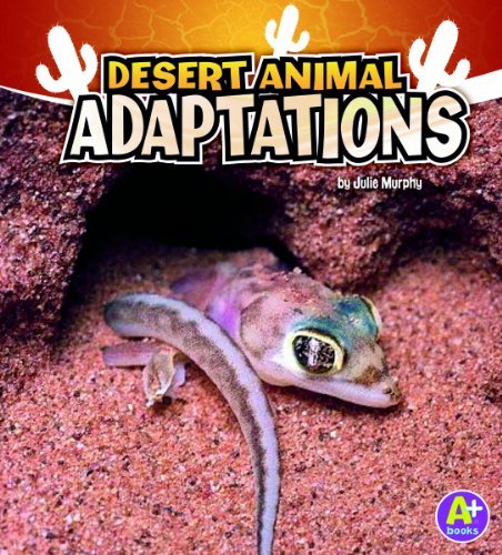 Desert Animal - Adaptations..-