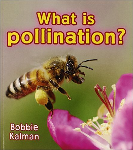 What Is Pollination?-..