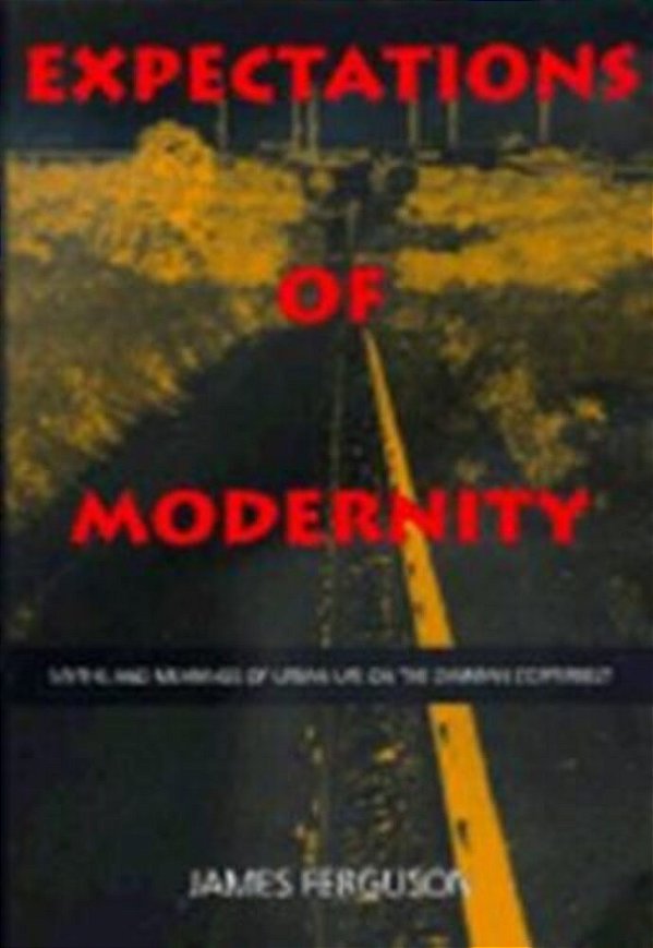 Expectations Of Modernity-..