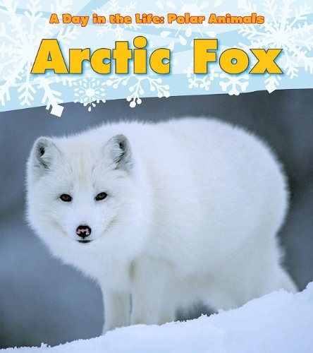 Arctic Fox - A Day In The Life: Polar Animals-..