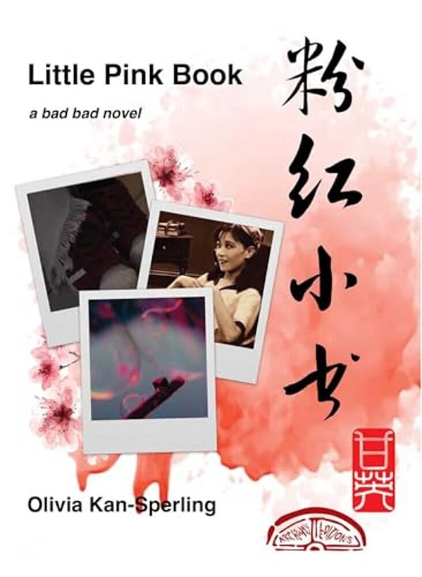 Little Pink Book: A Bad Bad Novel-..