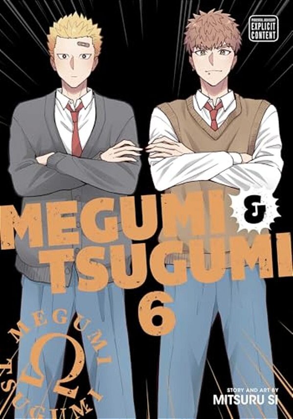 Megumi & Tsugumi, Vol. 6-..