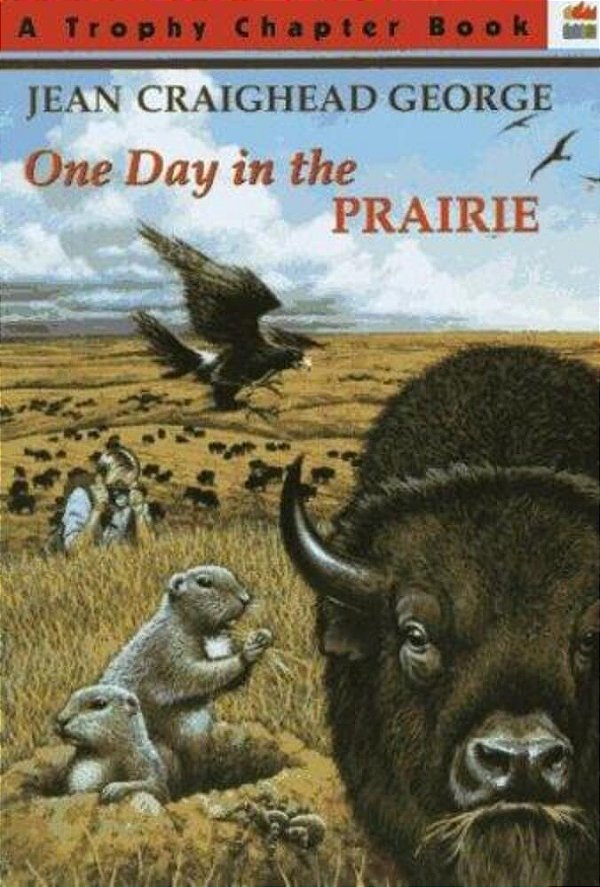 One Day In The Prairie-..