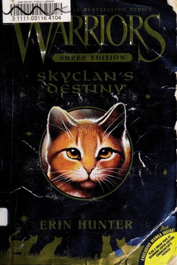 Skyclan's Destiny-..
