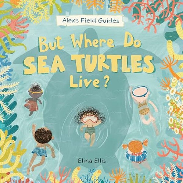 But Where Do Sea Turtles Live?-..