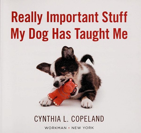 Really Important Stuff My Dog Has Taught Me-..