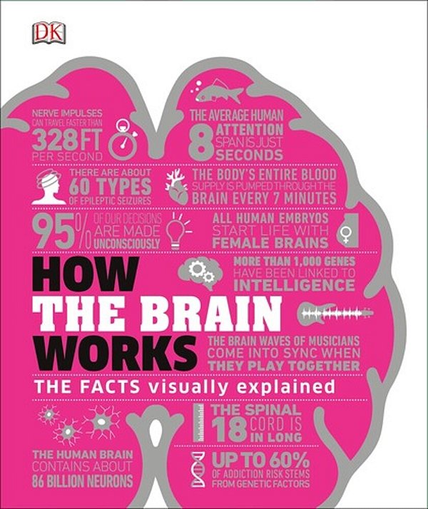 How The Brain Works: The Facts Visually Explained-..