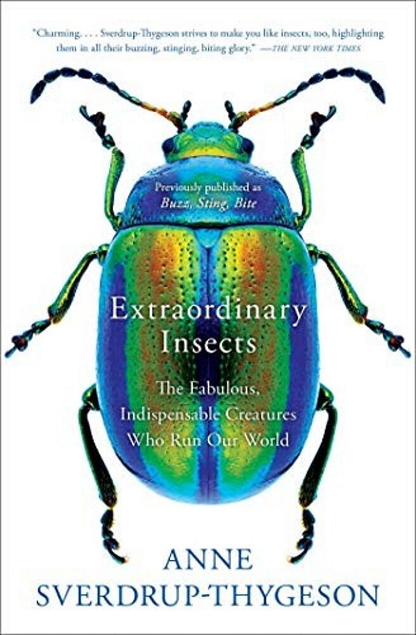 Extraordinary Insects: The Fabulous, Indispensable Creatures Who Run Our World-..