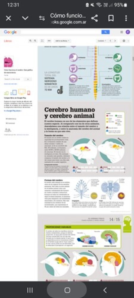 Como Funciona El Cerebro (How The Brain Works)-..