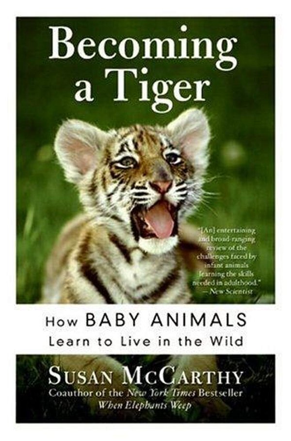 Becoming A Tiger: How Baby Animals Learn To Live In The Wild-..