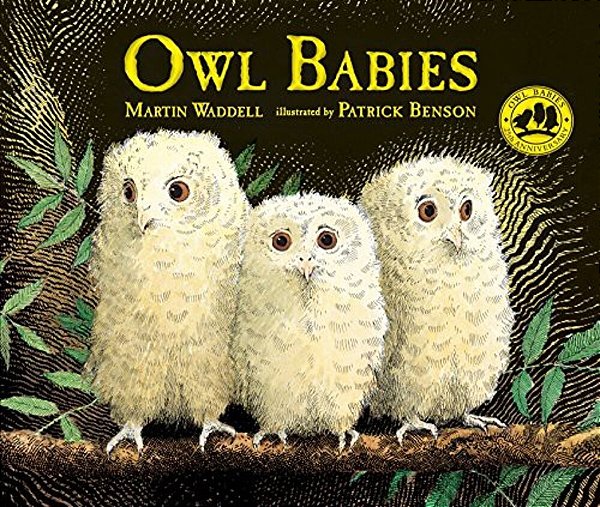 Owl Babies-..