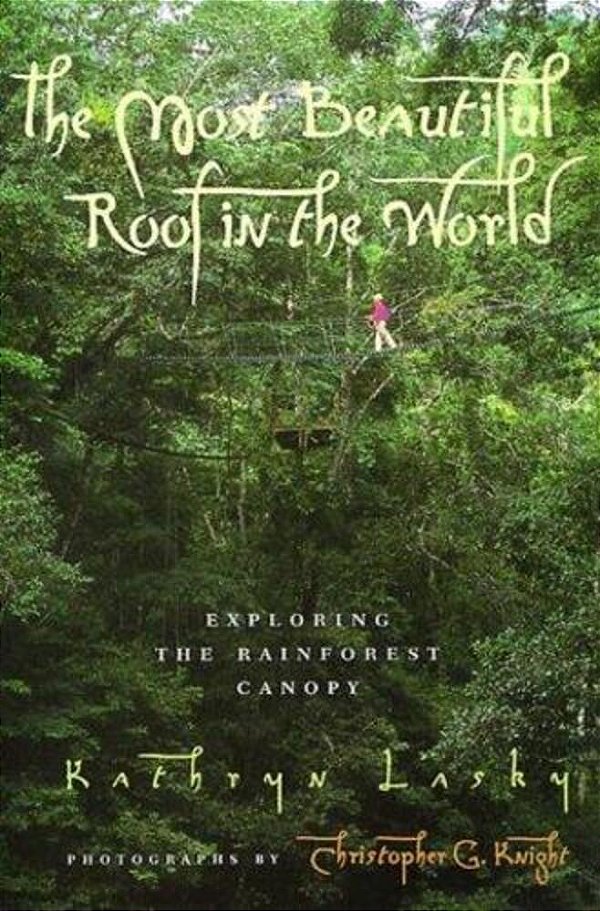 The Most Beautiful Roof In The World: Exploring The Rainforest Canopy-..