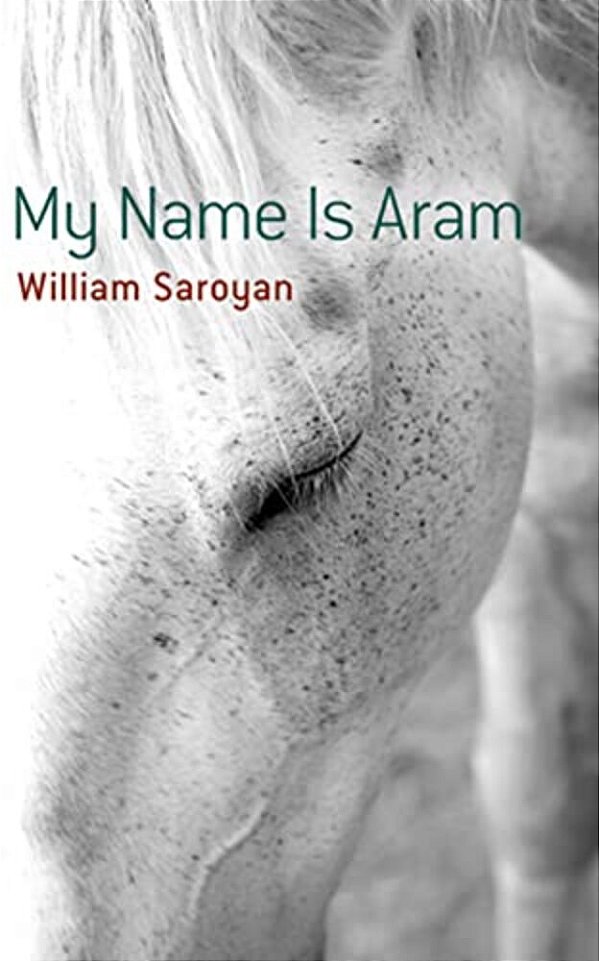 My Name Is Aram-..