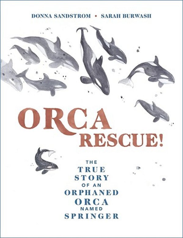 Orca Rescue!: The True Story Of An Orphaned Orca Named Springer-..