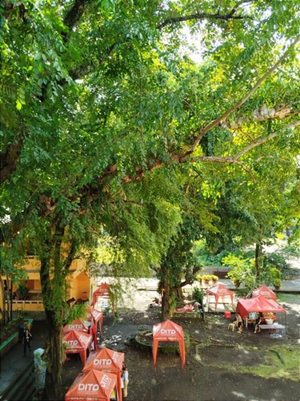 The Wizards Of Once: Twice Magic-..