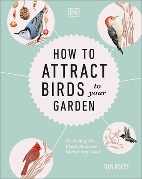 How To Attract Birds To Your Garden: Foods They Like, Plants They Love, Shelter They Need-..