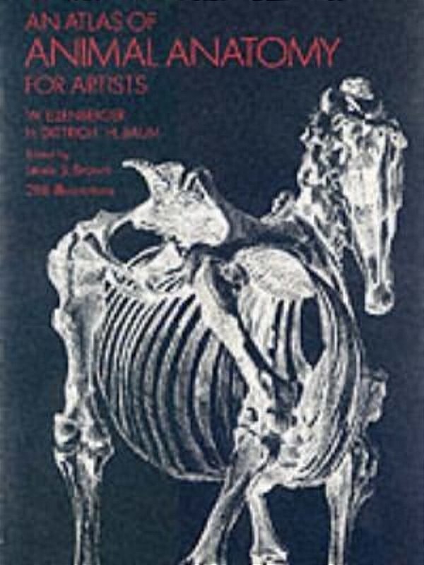An Atlas Of Animal Anatomy For Artists-..